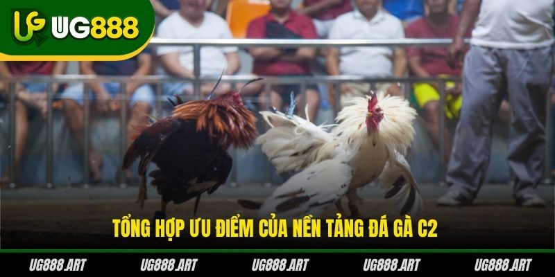 Tổng hợp ưu điểm của nền tảng đá gà C2 Tổng hợp ưu điểm của nền tảng đá gà C2